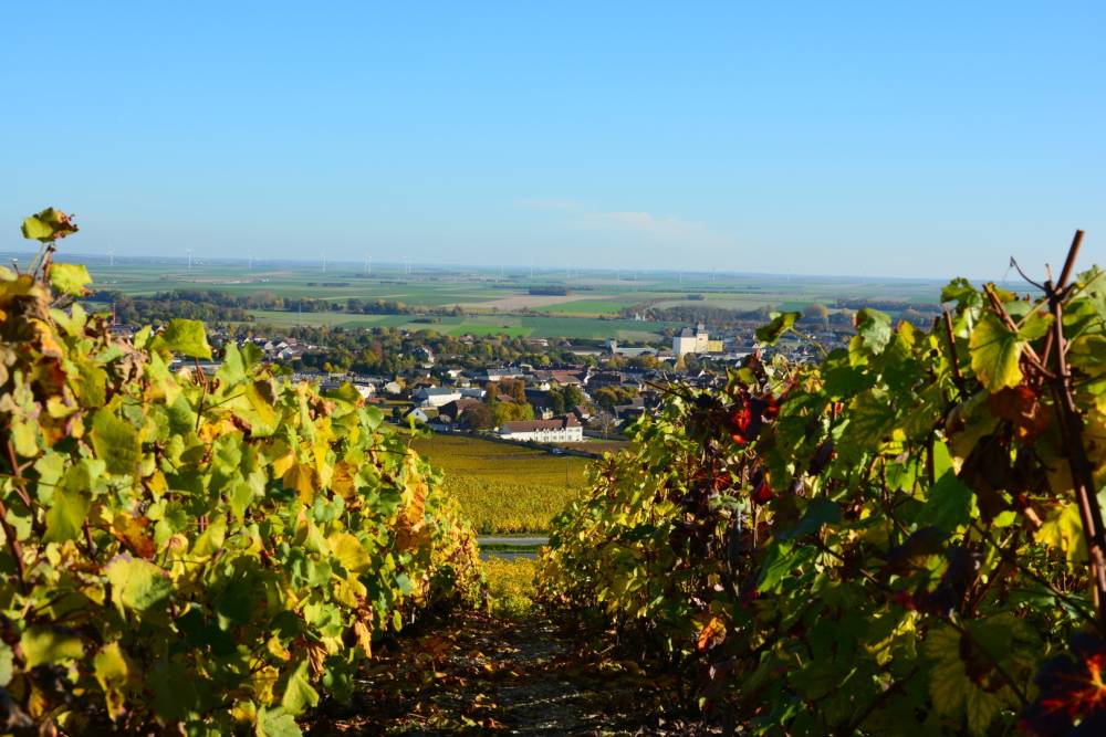 Séjour "Évasion Vigneronne"
