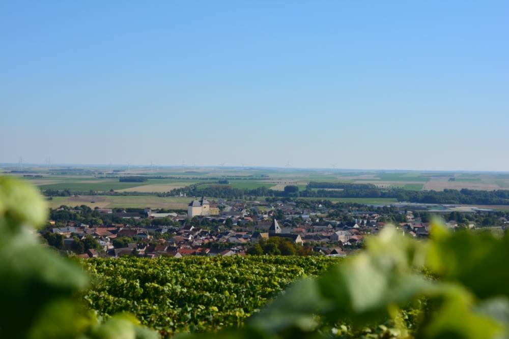 Séjour œnotouristique près de Châlons-en-Champagne